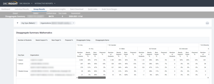 Interactive Reporting Disaggregate Summary Screenshot