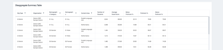 Interactive Reporting Disaggregate Summary 4